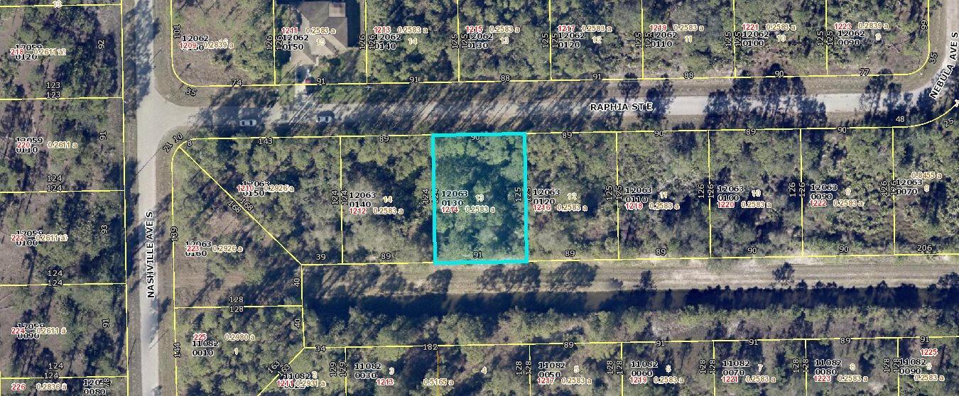 1214 Raphia Street E, Lehigh Acres FL 33974