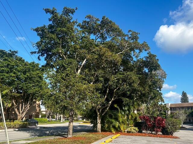 10332 SUNRISE LAKES Boulevard # 111, Sunrise FL 33322