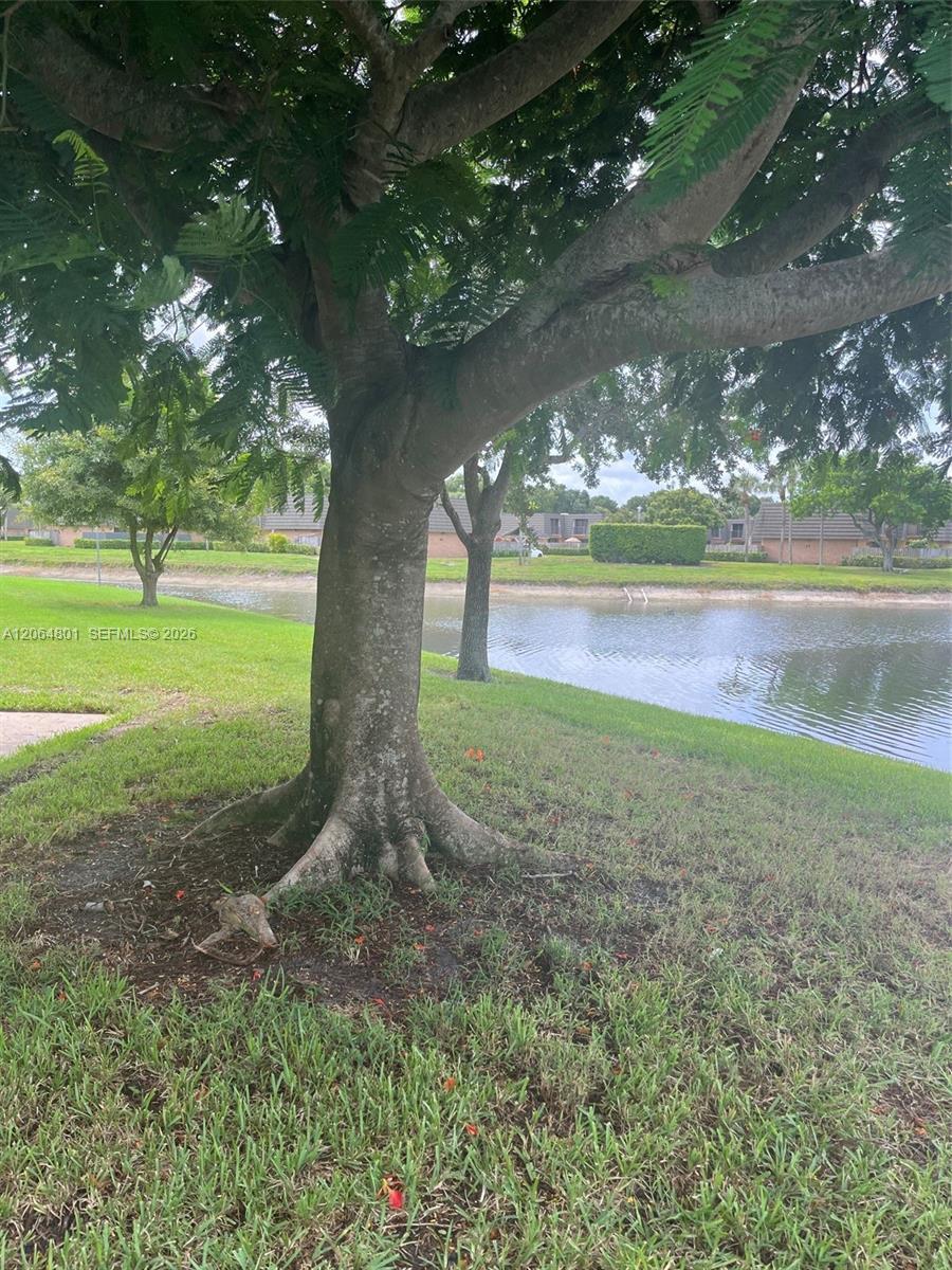 4213 42nd Way, West Palm Beach FL 33407 photo 3