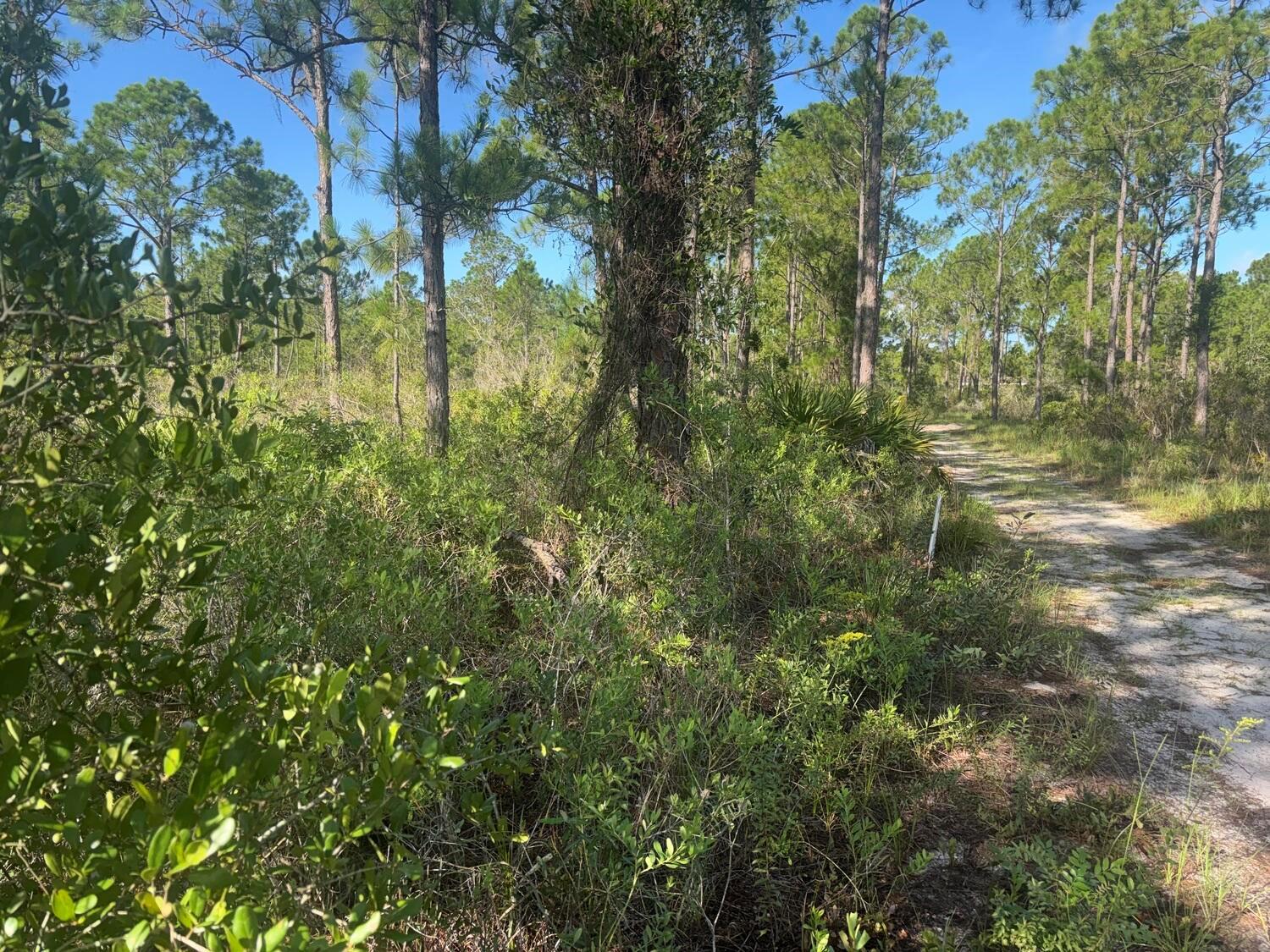 1017 Granger Street, Lake Placid FL 33852 photo 2