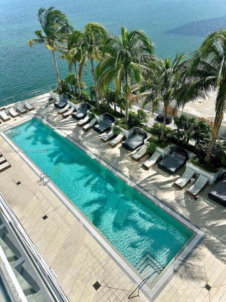 2900 NE 7th Ave # 1606, Miami FL 33137 photo 3
