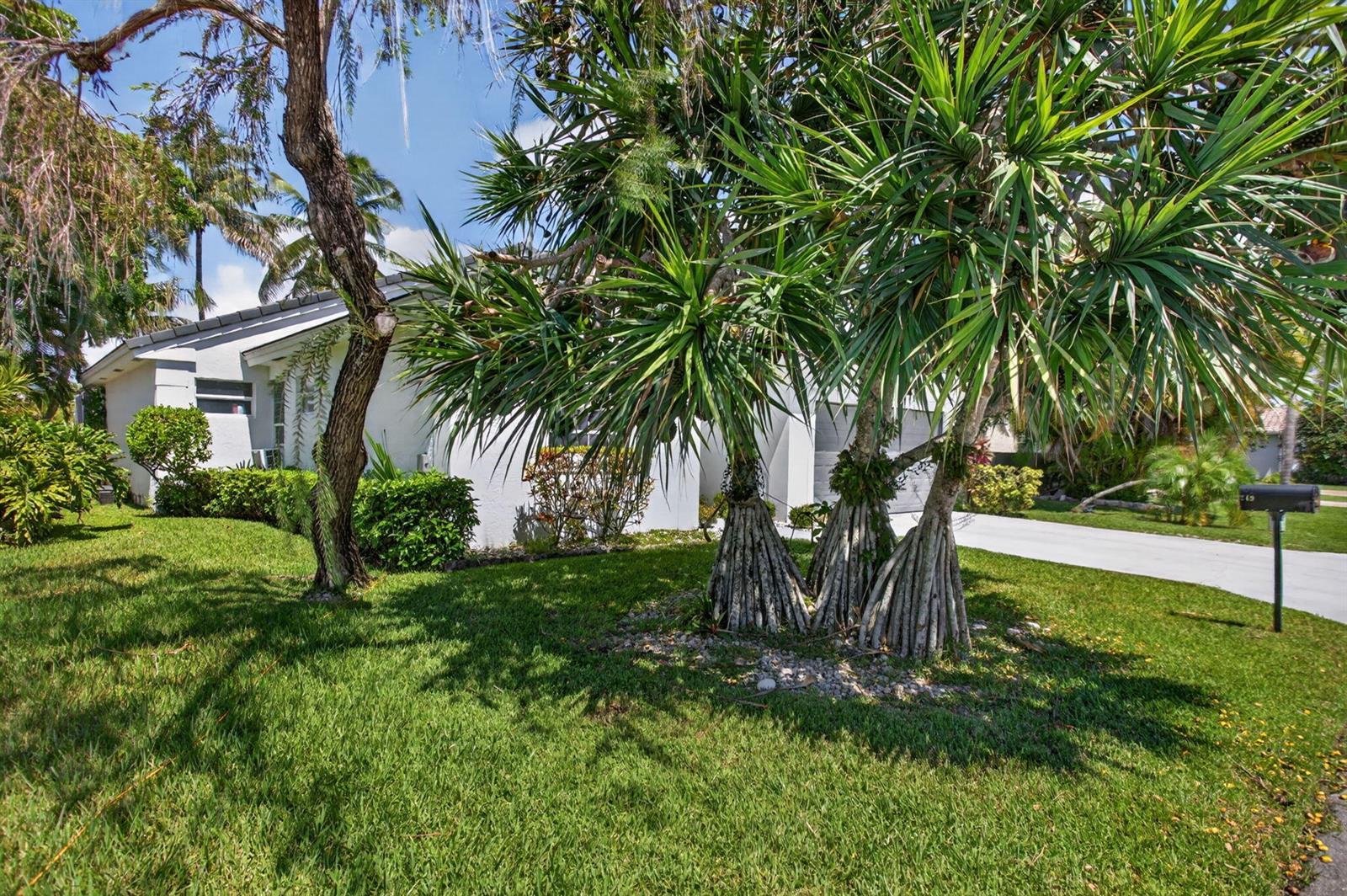 249 NW 48th Avenue, Deerfield Beach FL 33442 photo 3