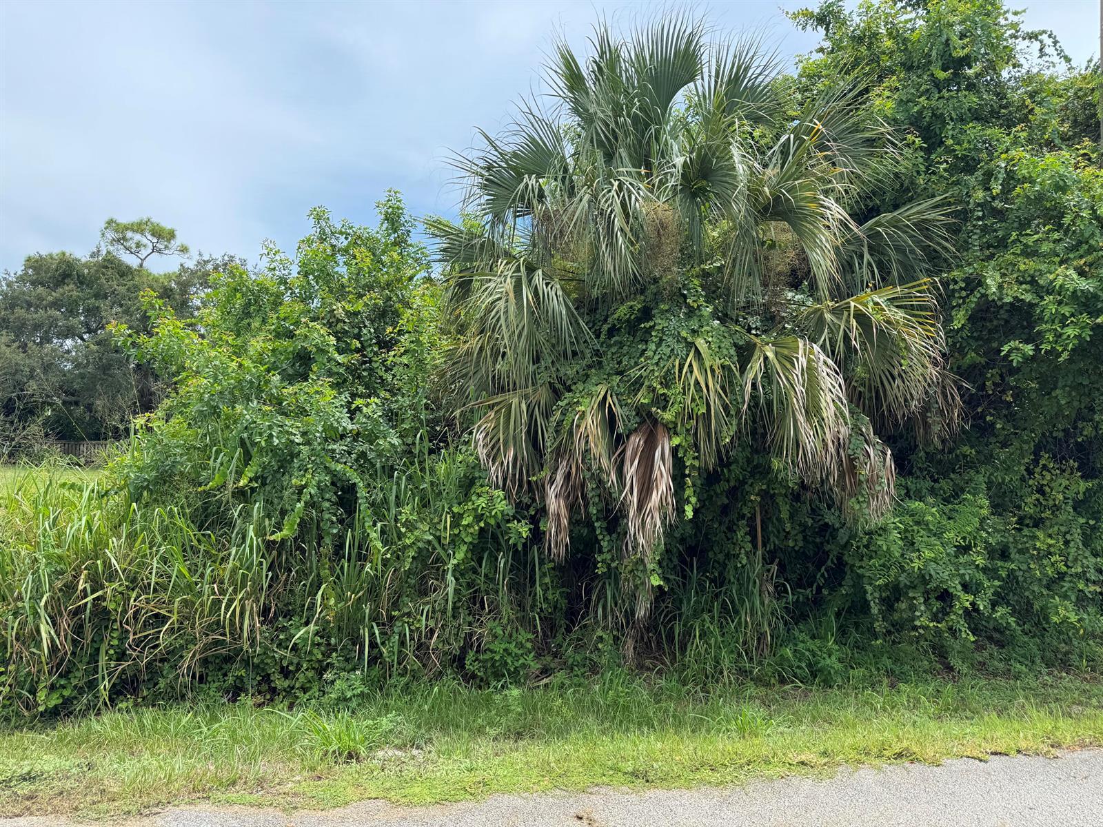 0 San Diego Avenue, Fort Pierce FL 34946 photo 2