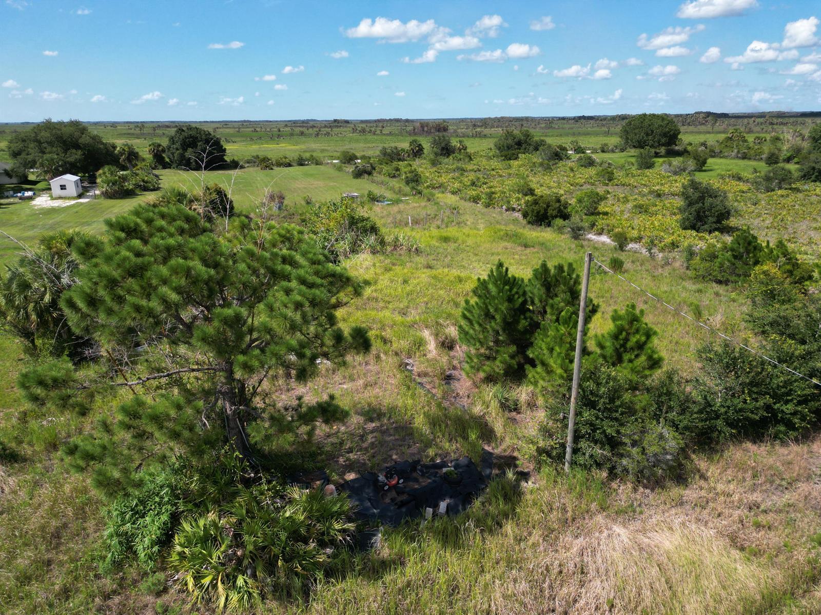 18239 NW 318TH Street, Okeechobee FL 34972 photo 3