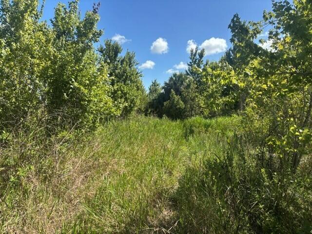 0 NW 312th Street, Okeechobee FL 34972 photo 2