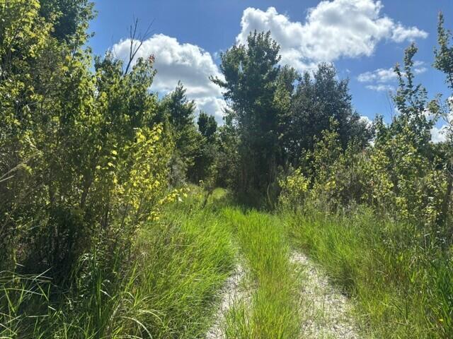 0 NW 312th Street, Okeechobee FL 34972 photo 4