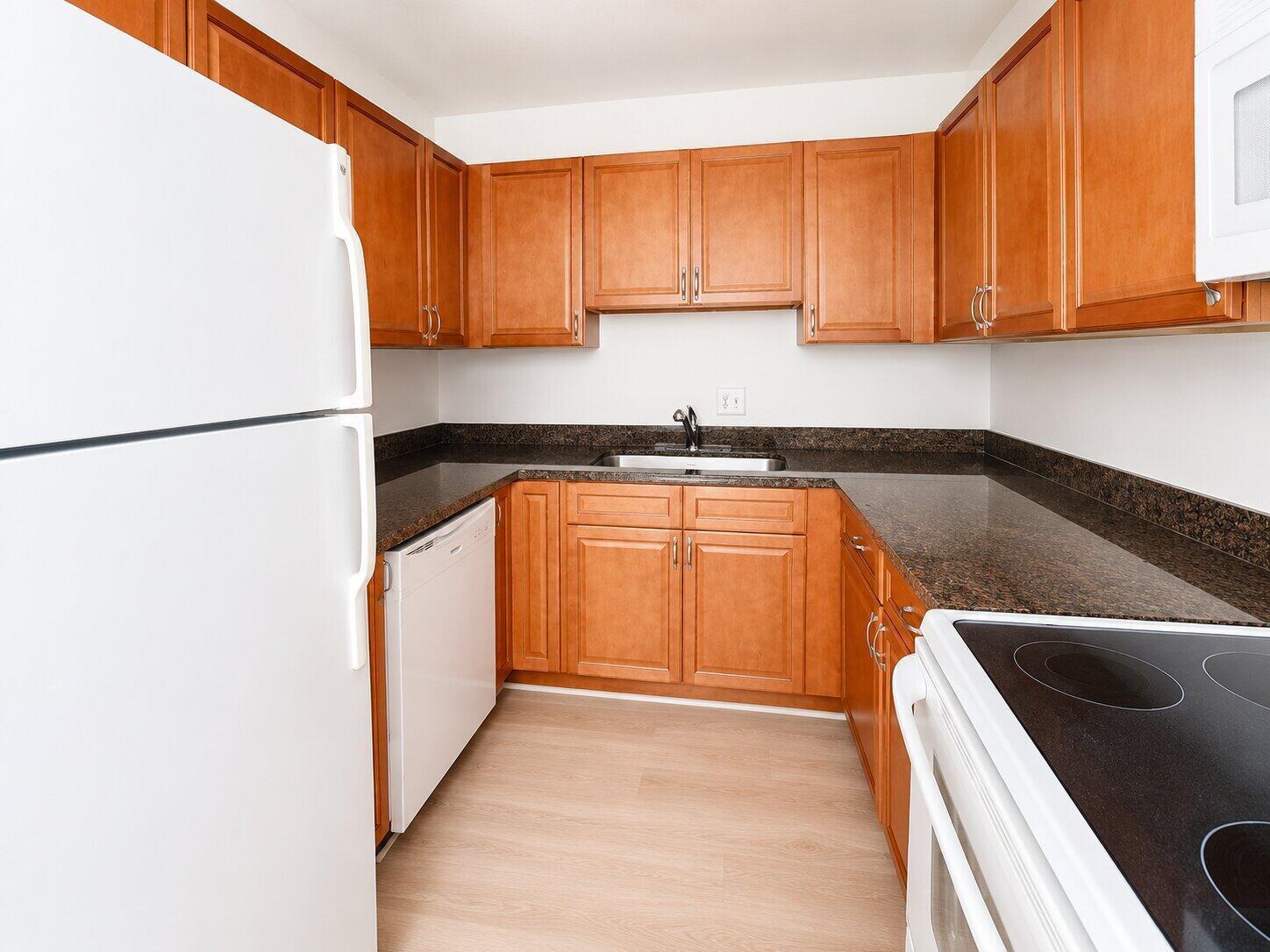 2201 NE 36TH Street # 102, Lighthouse Point FL 33064 photo 5