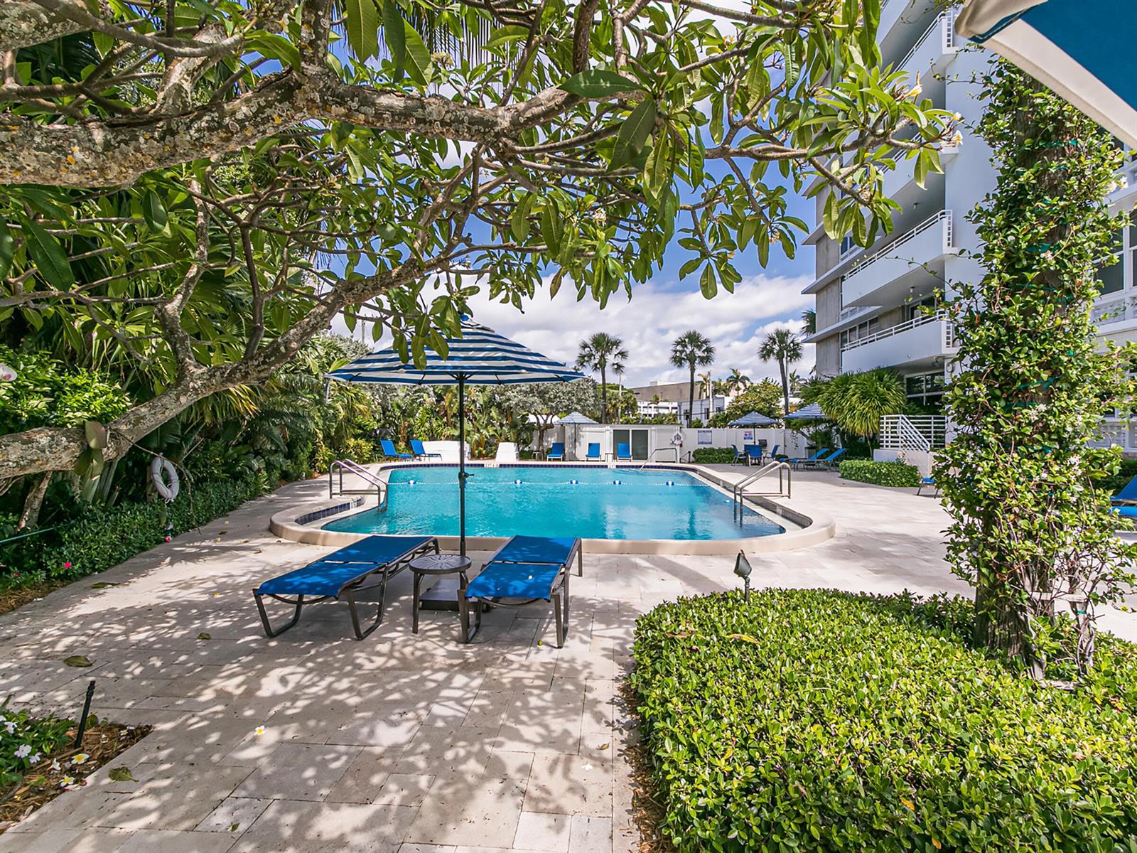 888 INTRACOASTAL Drive # 3D, Fort Lauderdale FL 33304 photo 5