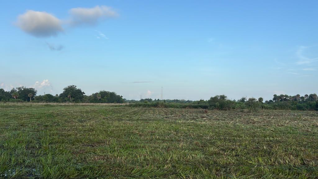 15842 NW 284th Street, Okeechobee FL 34972 photo 5