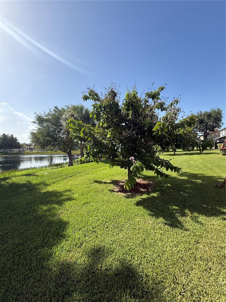2206 SE 23rd Ave # 2206, Homestead FL 33035 photo 4