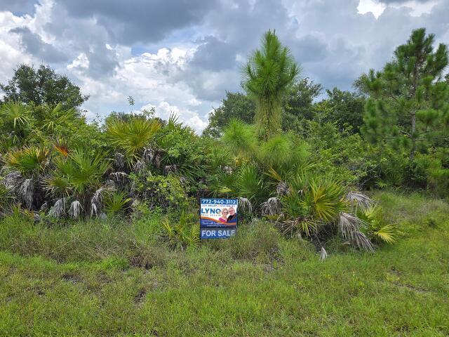 873 Carpenter Street E, Lehigh Acres FL 33974 photo 3