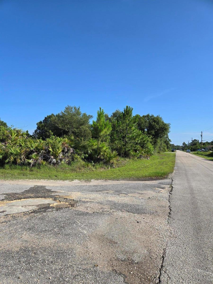 873 Carpenter Street E, Lehigh Acres FL 33974 photo 4