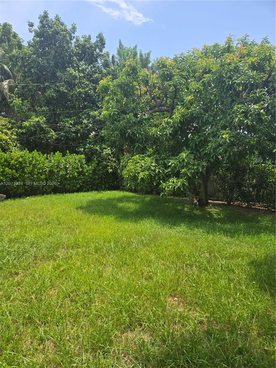 1170 NE 111th St # 1170, Miami FL 33161 photo 5