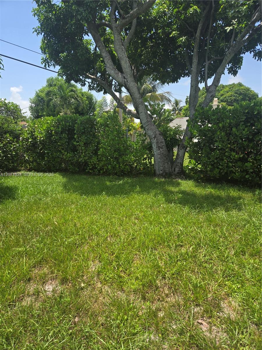 1170 NE 111th St # 1170, Miami FL 33161 photo 4