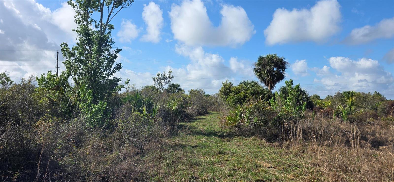 16529 NW 264TH Street, Okeechobee FL 34972 photo 2