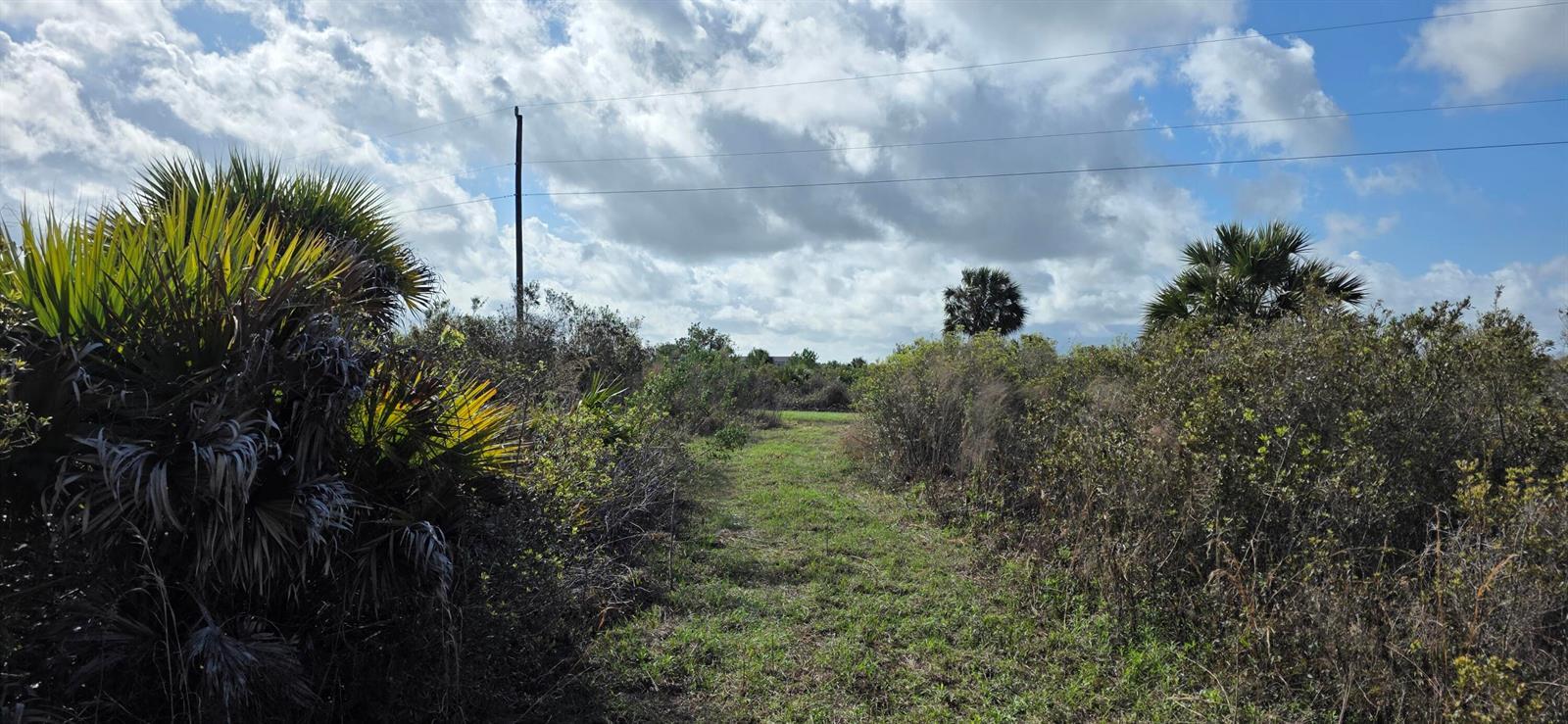 16529 NW 264TH Street, Okeechobee FL 34972 photo 5