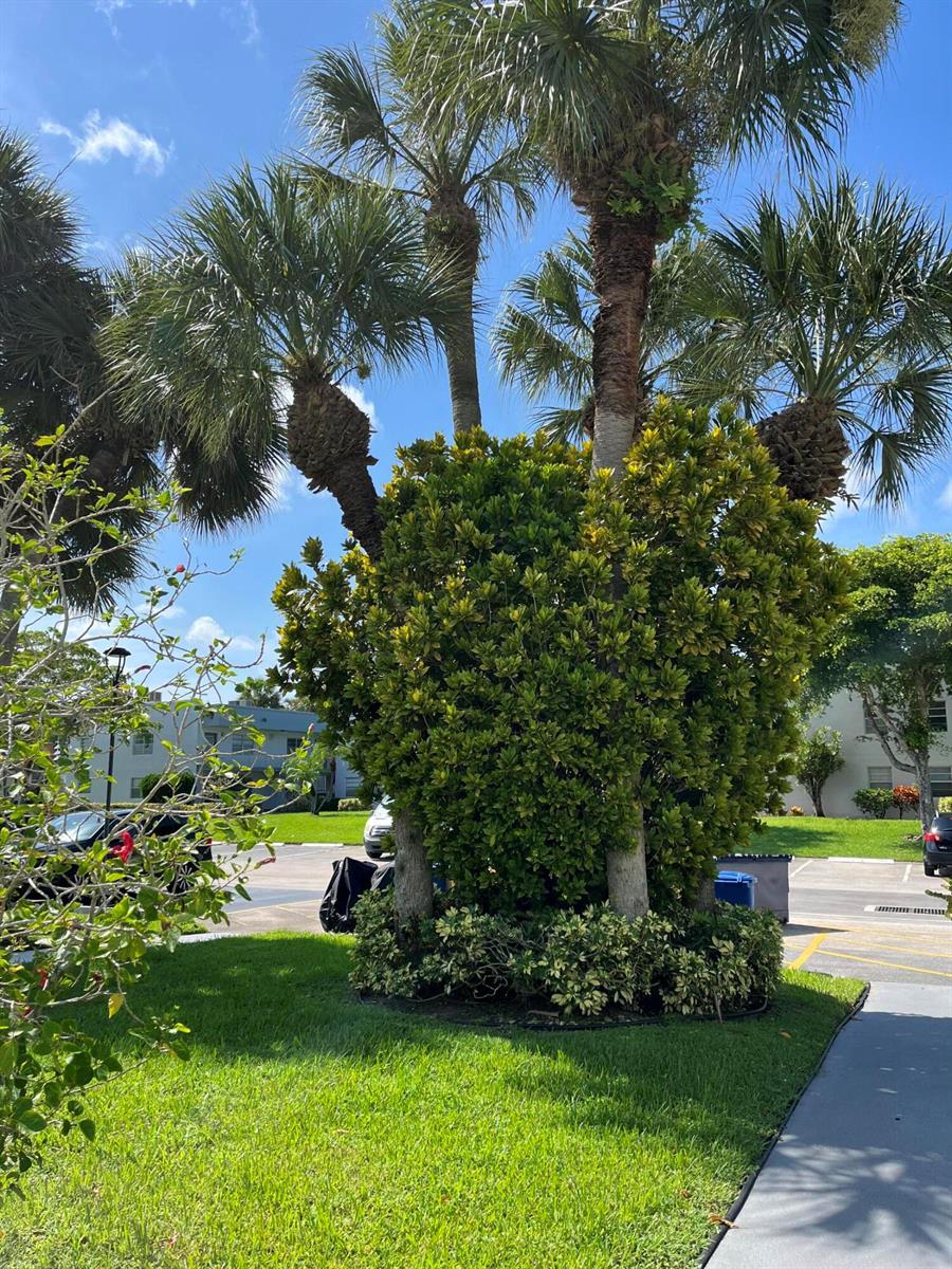 23 Piedmont # A, Delray Beach FL 33484 photo 3