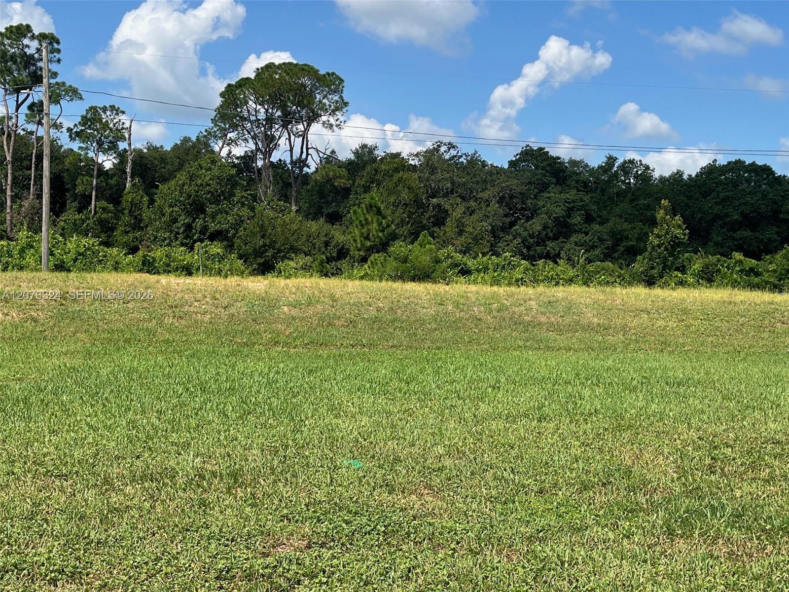 1050 Lake Carrie Dr, Lake Placid FL 33852 photo 3