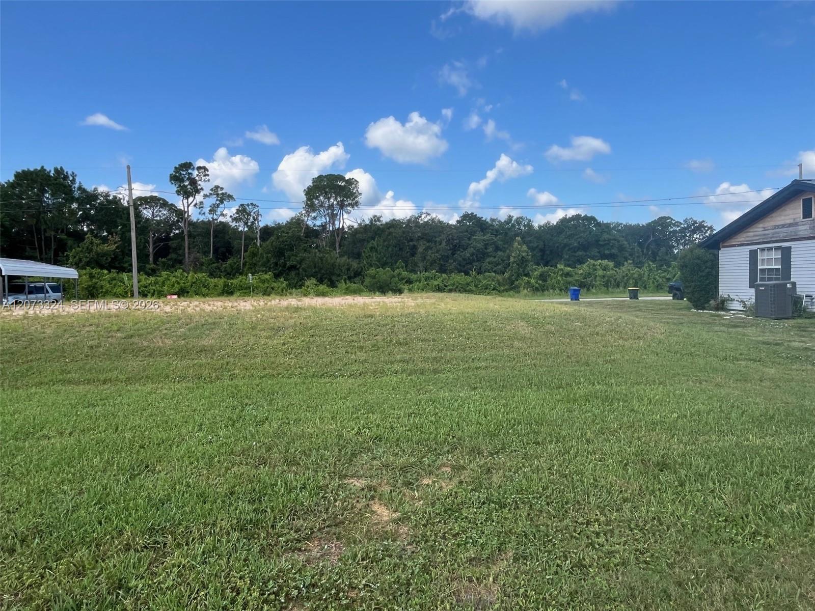 1050 Lake Carrie Dr, Lake Placid FL 33852 photo 5