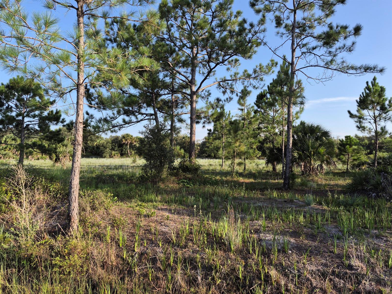 16810 NW 292ND Street, Okeechobee FL 34972 photo 2