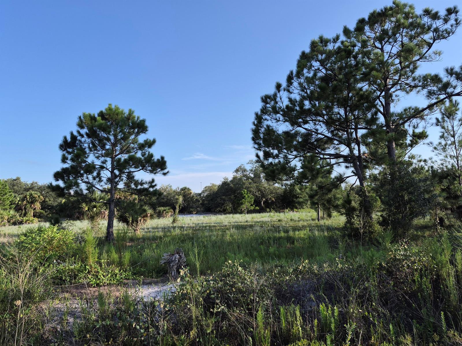 16810 NW 292ND Street, Okeechobee FL 34972 photo 3