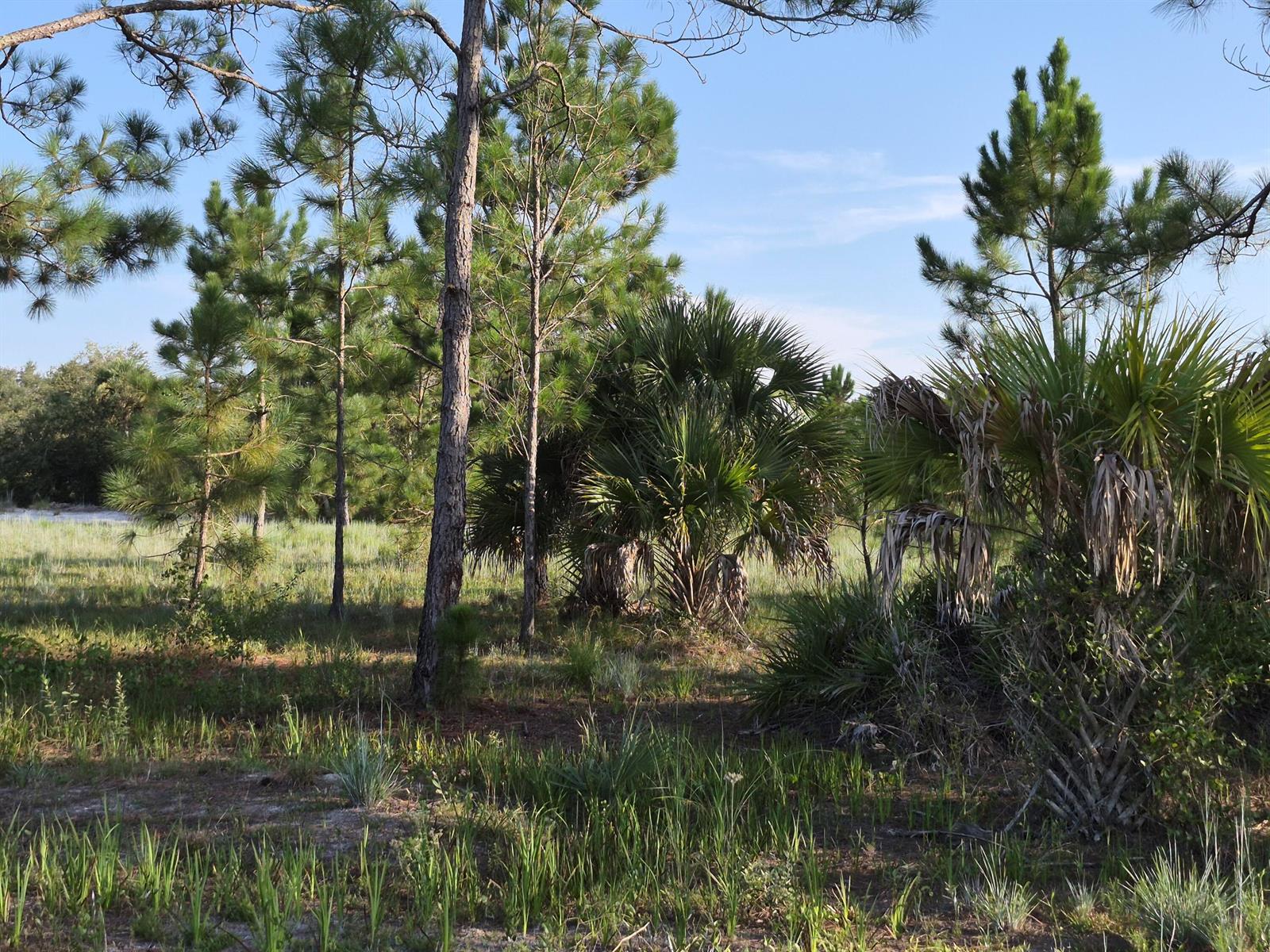 16810 NW 292ND Street, Okeechobee FL 34972 photo 4