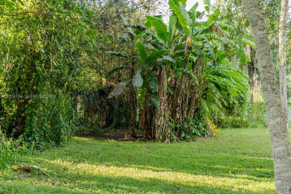 780 Washington Ave., La Belle FL 33935 photo 4