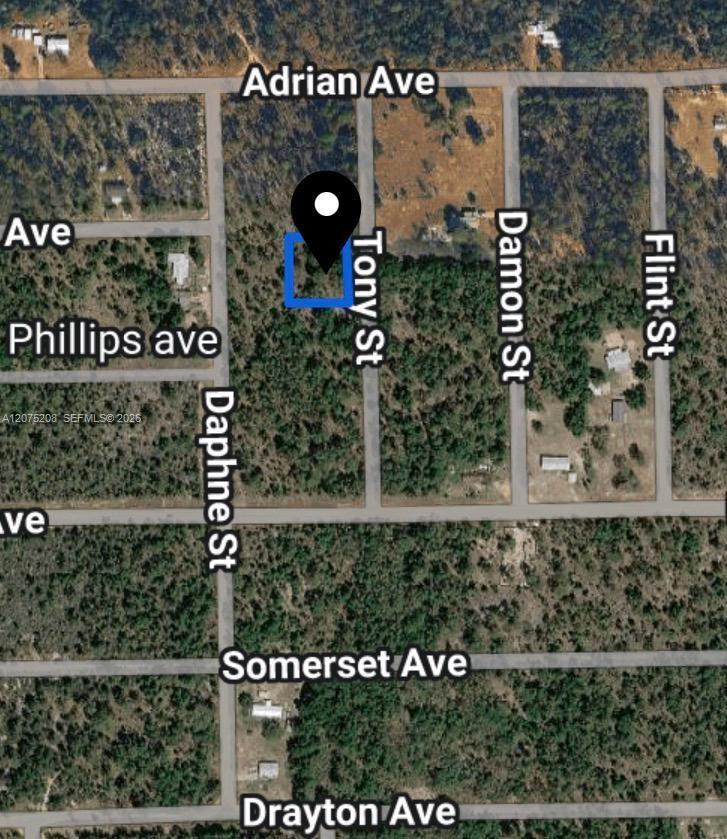 0 TOBY ST, Palatka FL 32148 photo 2