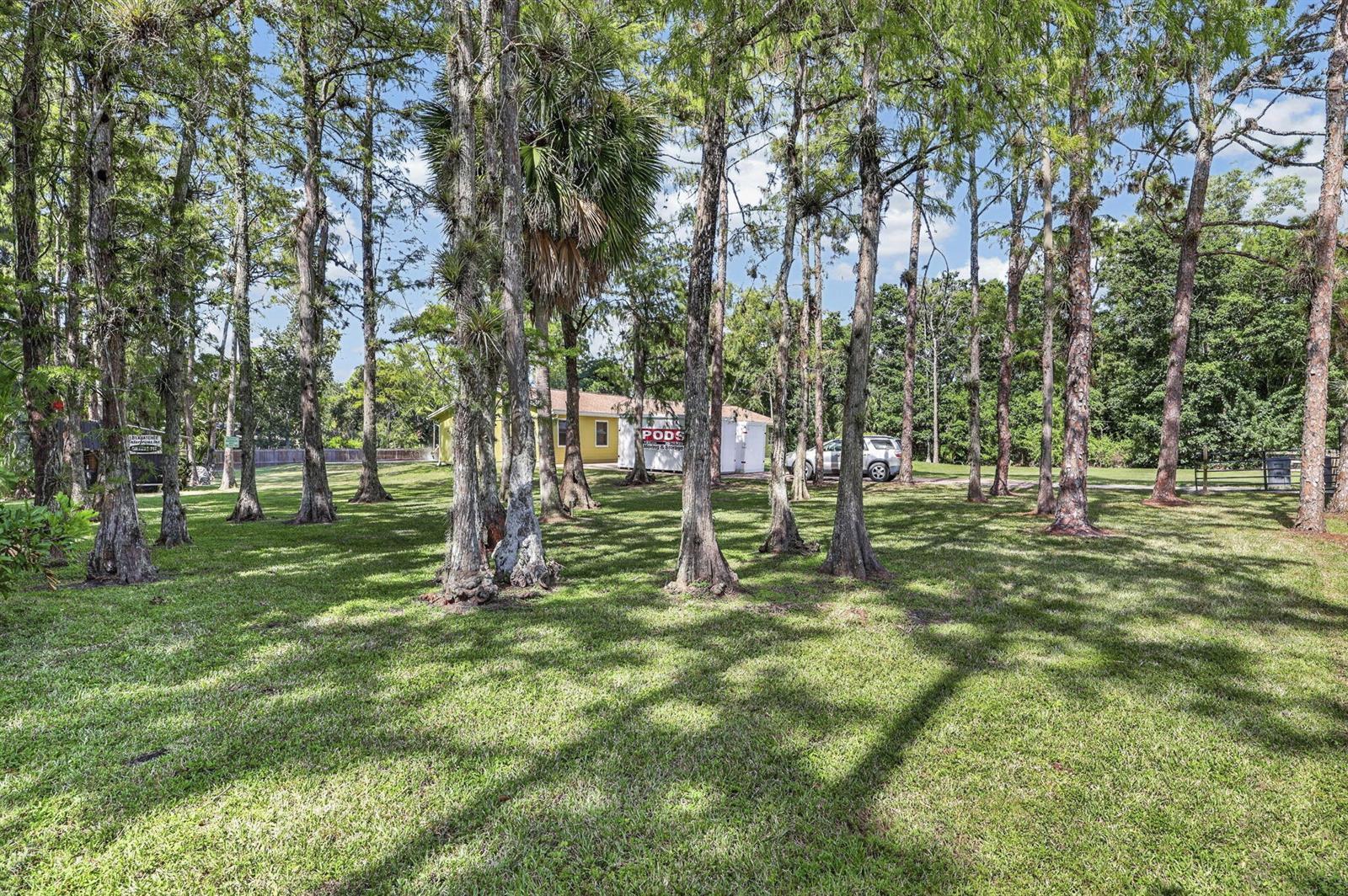 13045 ORANGE GROVE Boulevard, FL 33411 photo 3