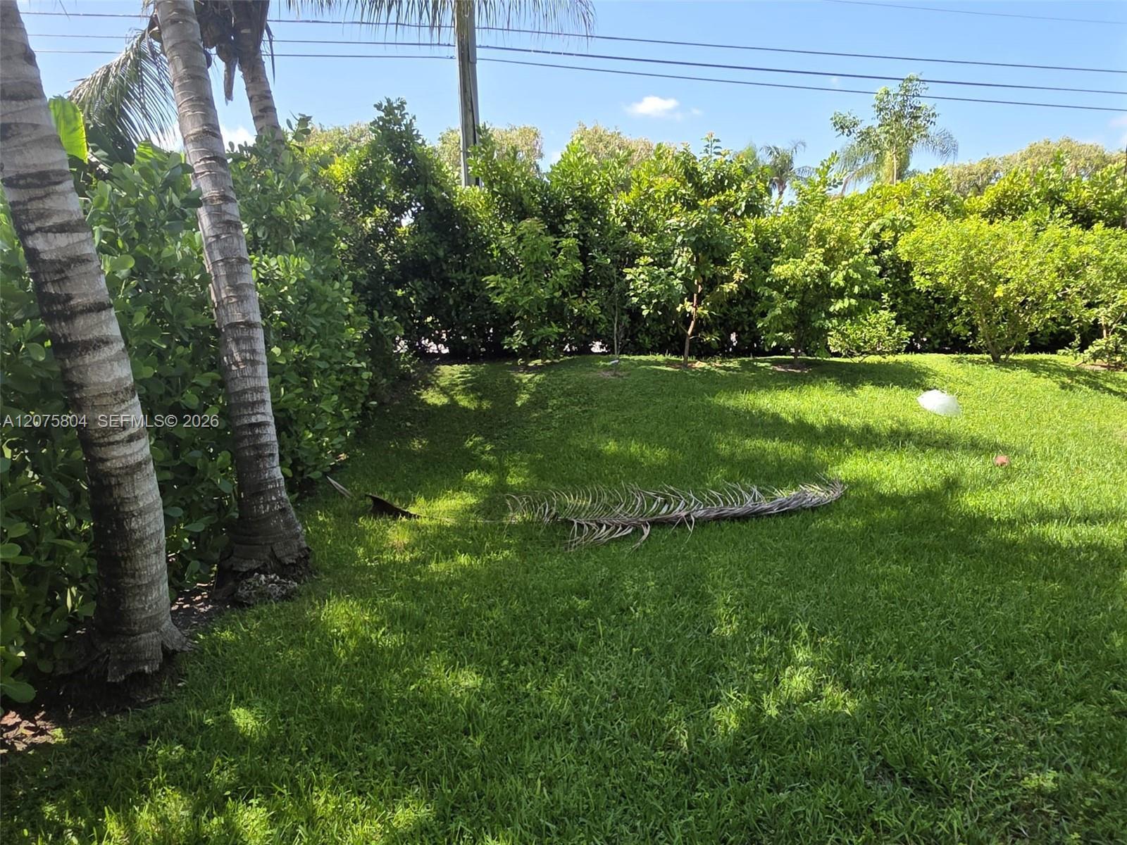 Homestead, FL 33035 photo 5