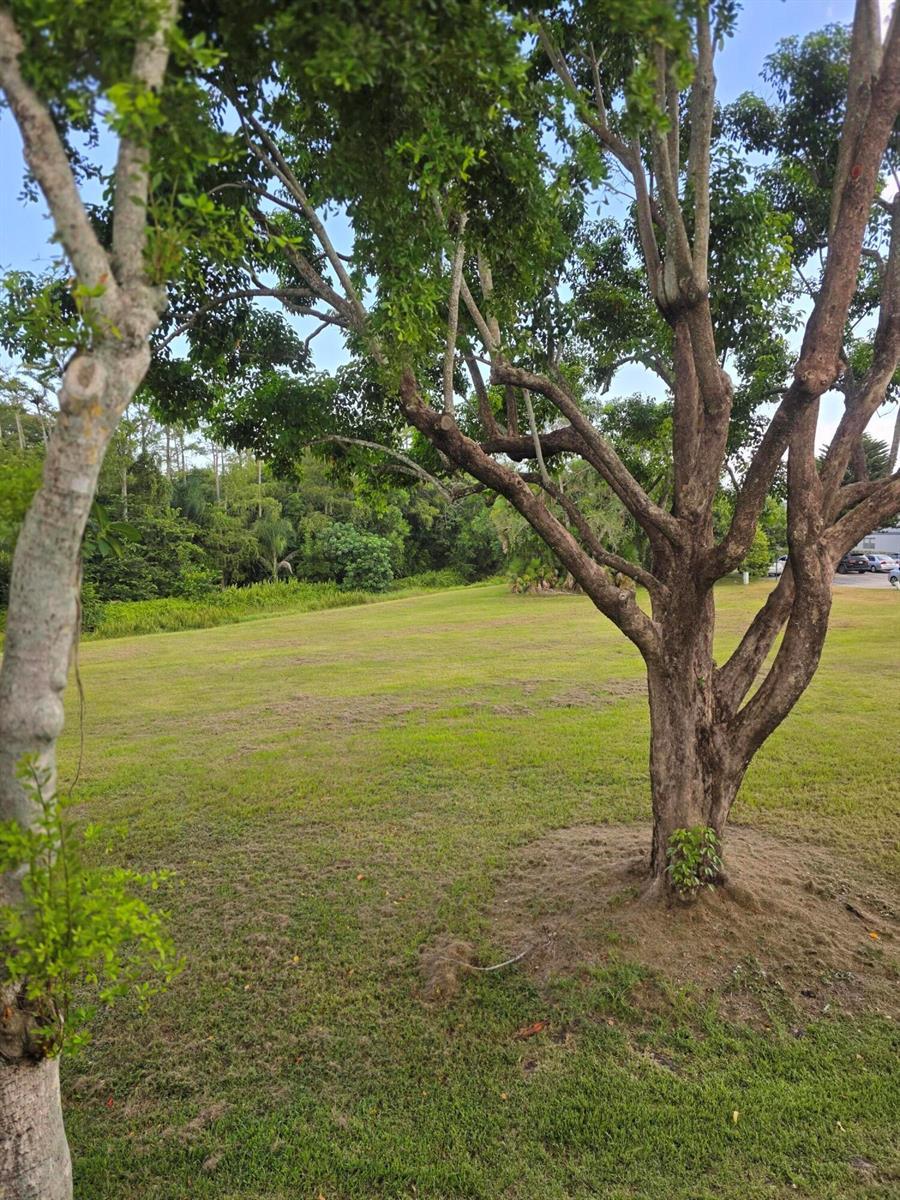 667 Saxony N, Delray Beach FL 33446 photo 2