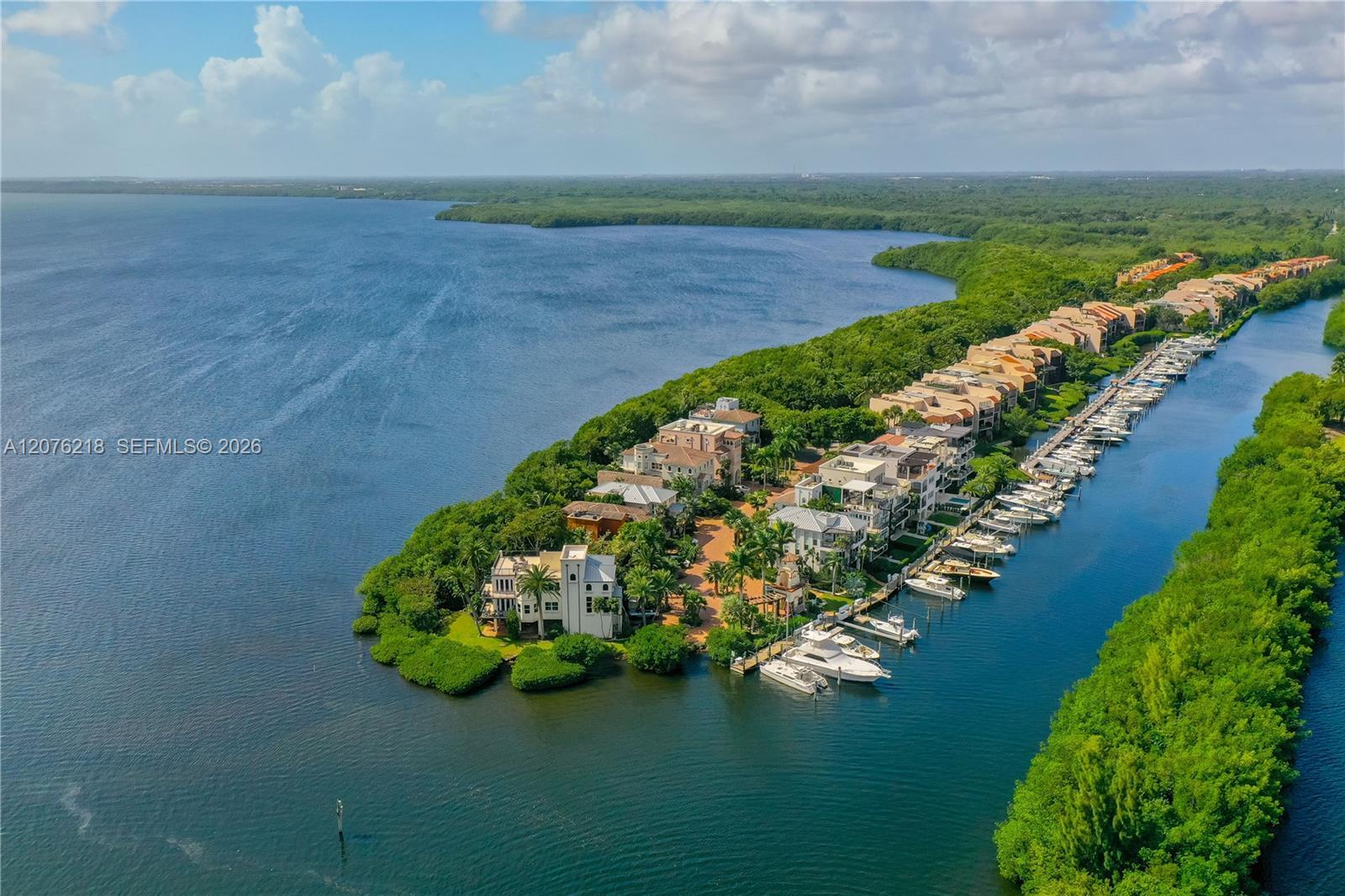 5990 Paradise Point Dr # 5990, Palmetto Bay FL 33157 photo 2