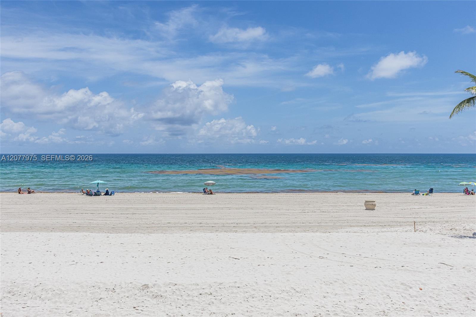 Hollywood, FL