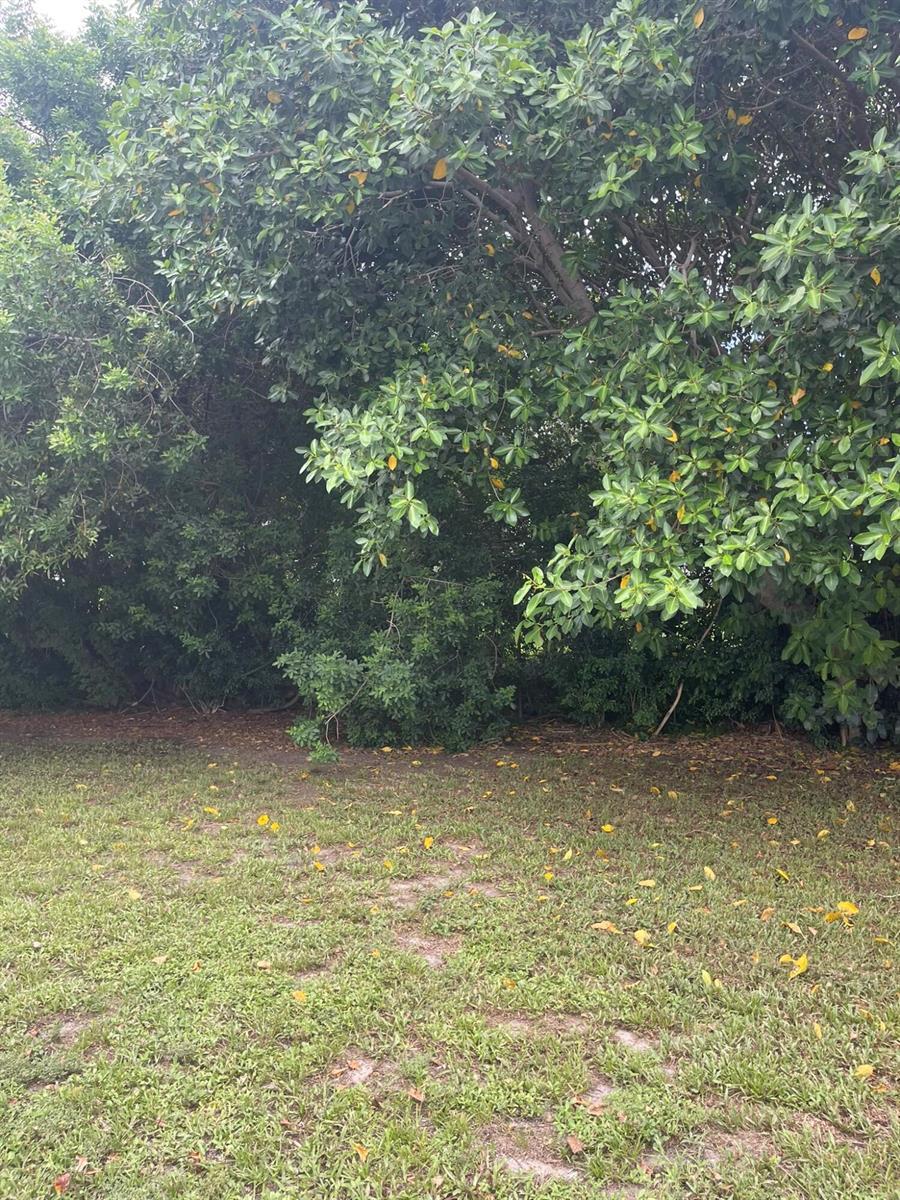 920 NW 3RD Street, Boynton Beach FL 33435 photo 4