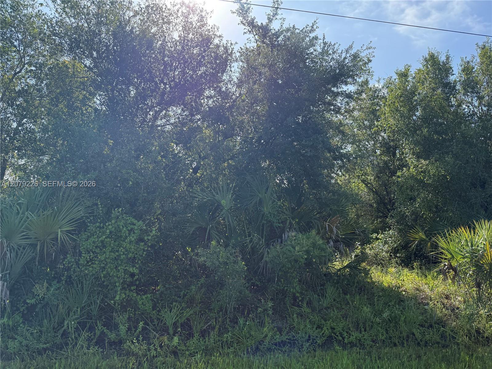 145 S UTOPIA ST, Clewiston FL 33440 photo 5