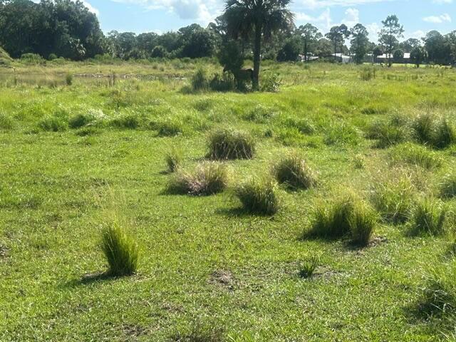 Tbd Mose Grade Road, Okeechobee FL 34974 photo 3