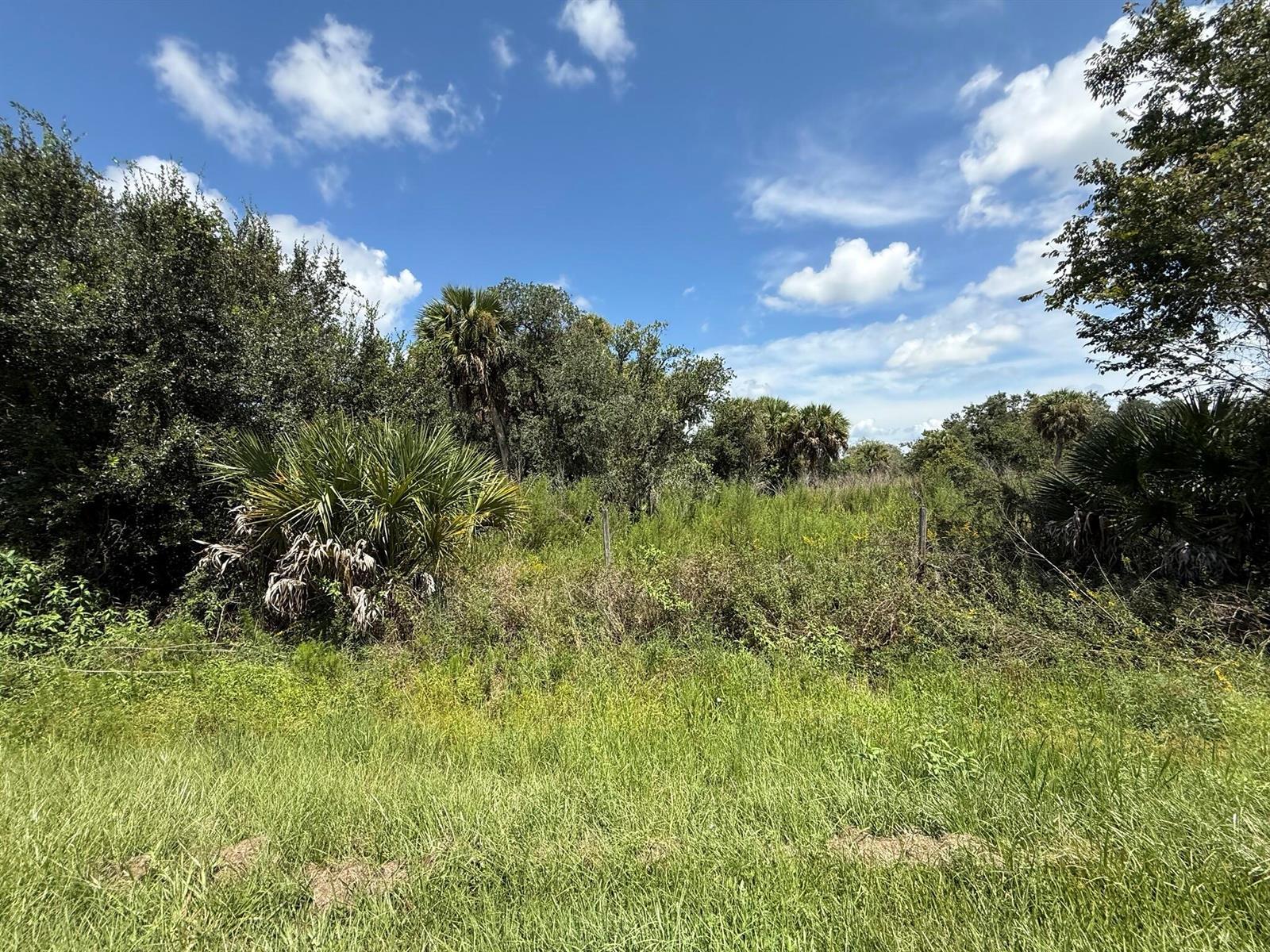 19145 NW 302ND, Okeechobee FL 34972
