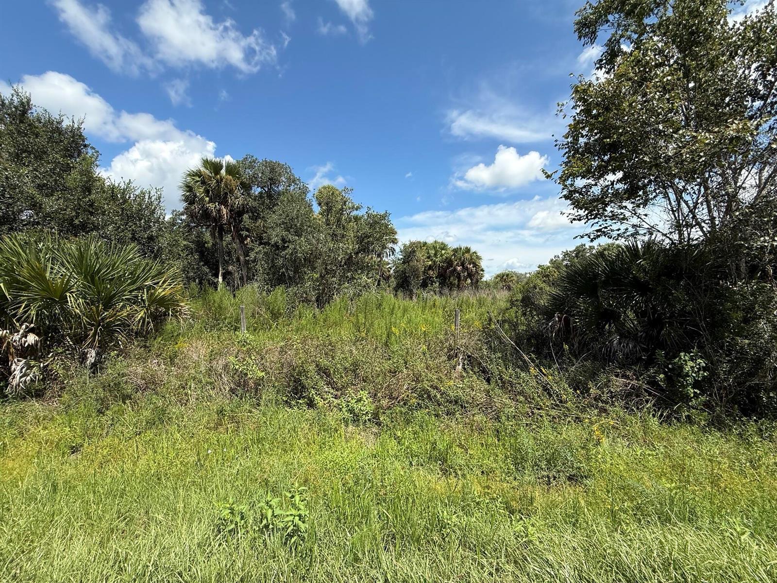 19145 NW 302ND, Okeechobee FL 34972 photo 5