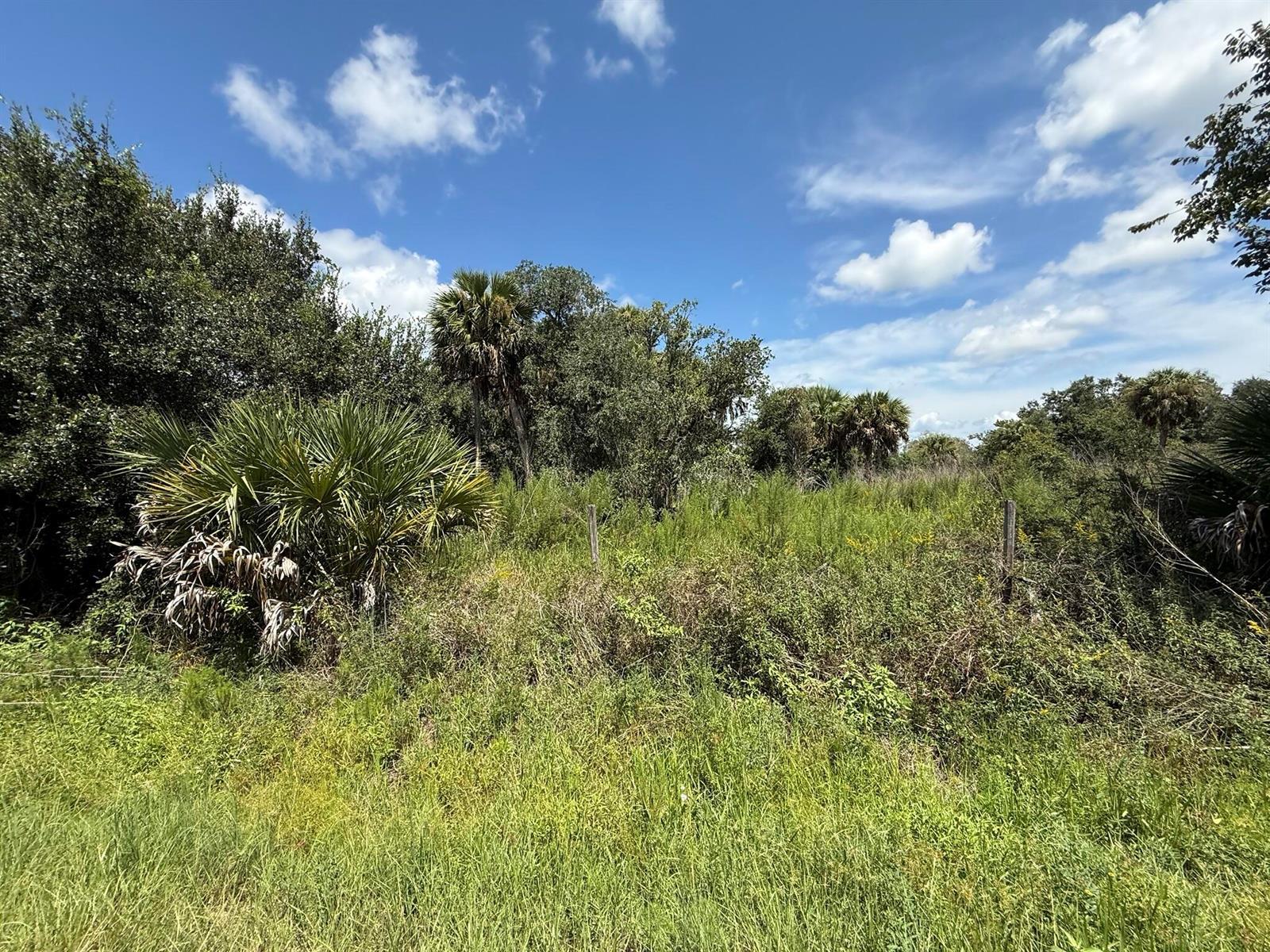 19145 NW 302ND, Okeechobee FL 34972 photo 4