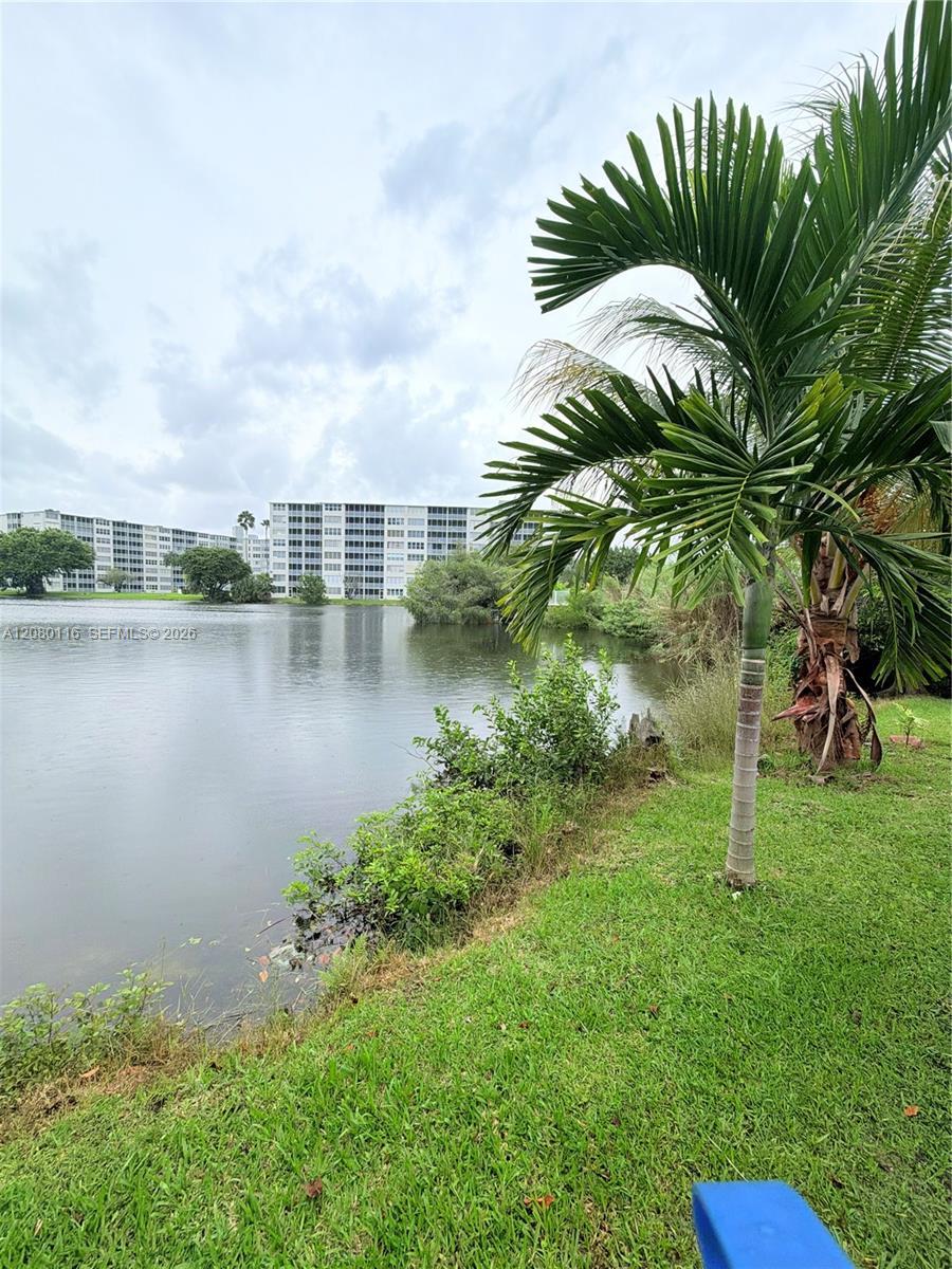 Miami, FL 33179 photo 4