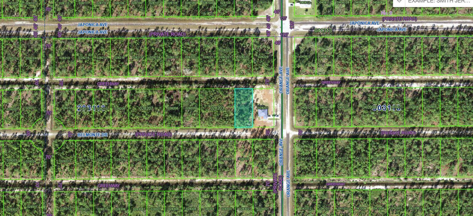 0 BELMONTE Drive, FL 33855 photo 3