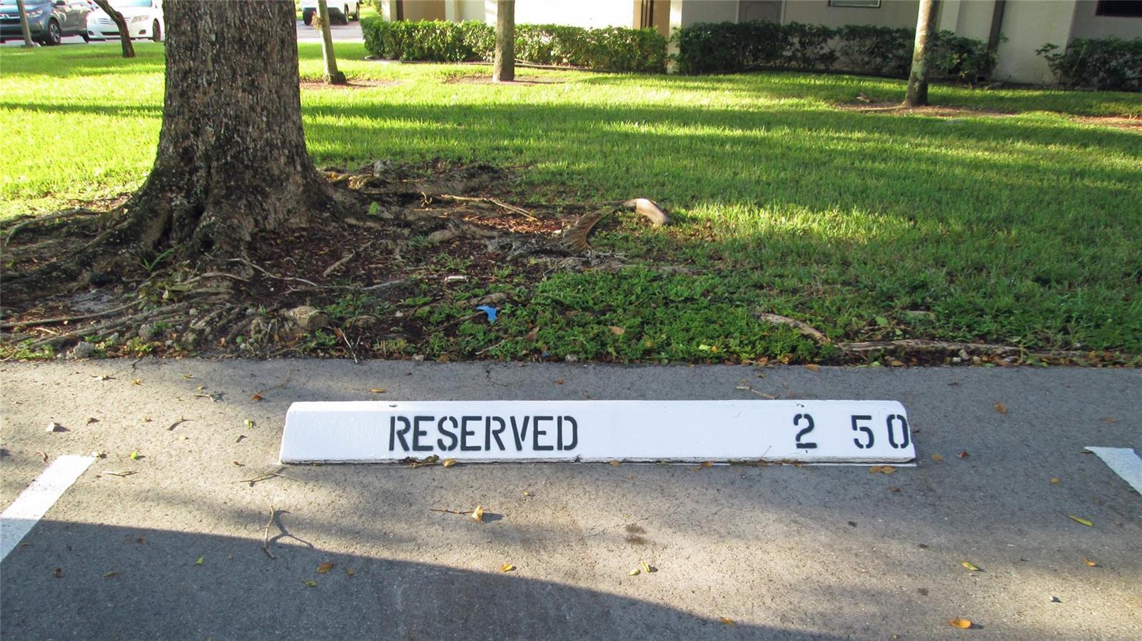 6351 N UNIVERSITY Drive # 224, Tamarac FL 33321 photo 4