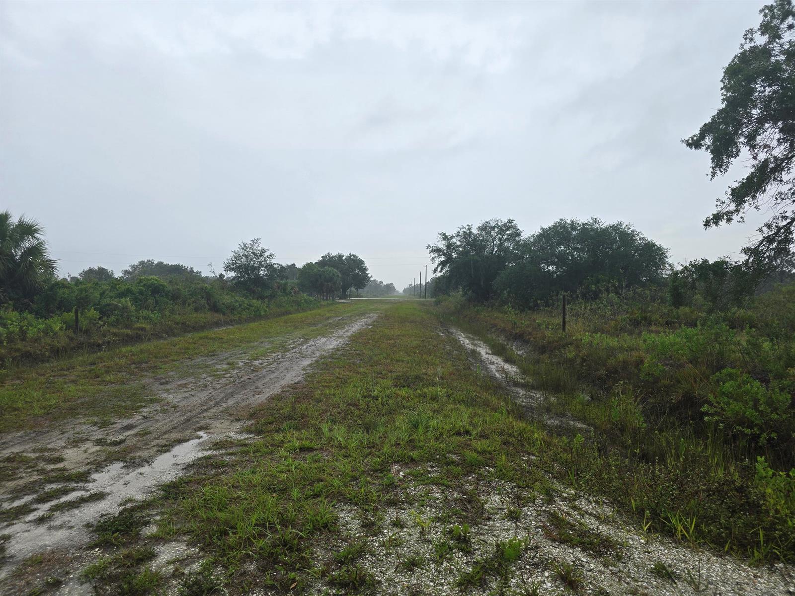 17439 NW 300th Street, Okeechobee FL 34972 photo 5