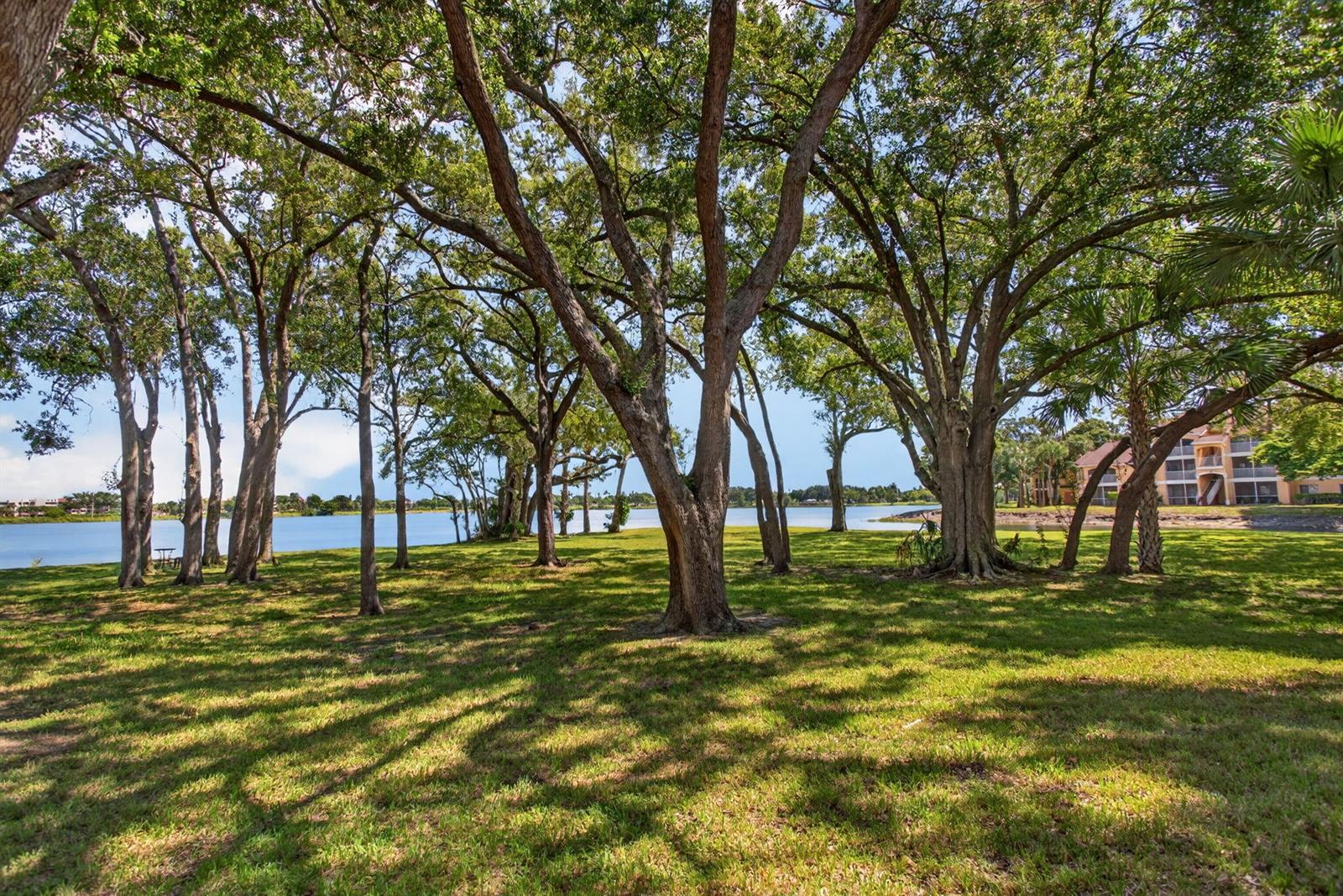 2425 NW 33rd Street NW # 1309, Oakland Park FL 33309 photo 3