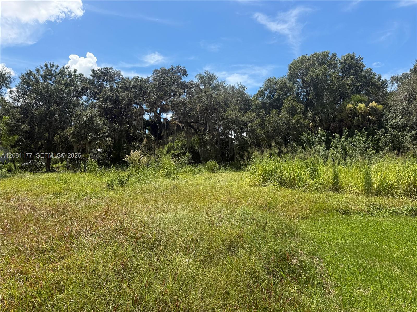 869 Avalon Ave, La Belle FL 33935 photo 5