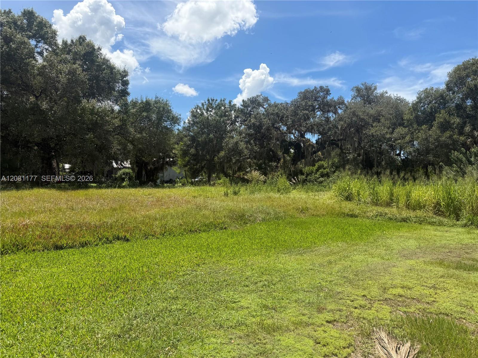 869 Avalon Ave, La Belle FL 33935 photo 4