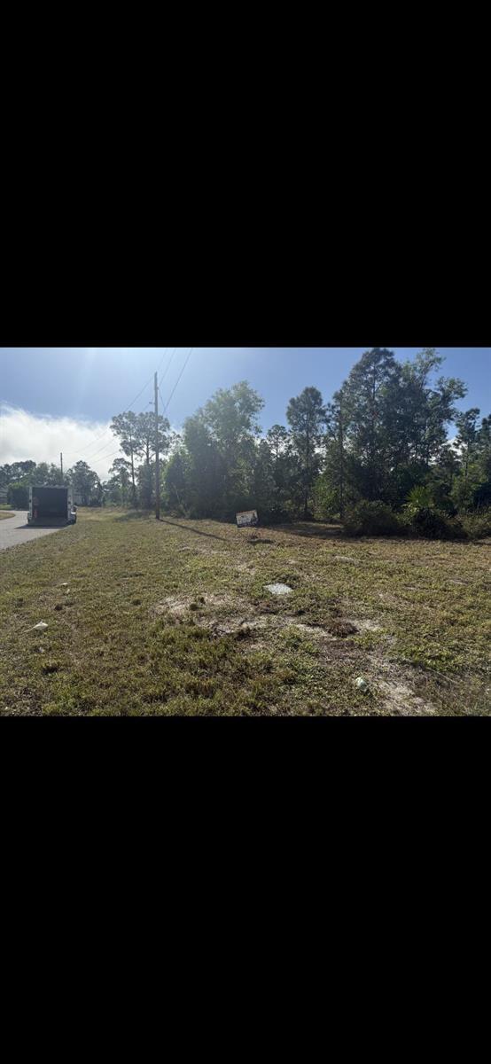 1036 Manning Street E, Lehigh Acres FL 33974 photo 5