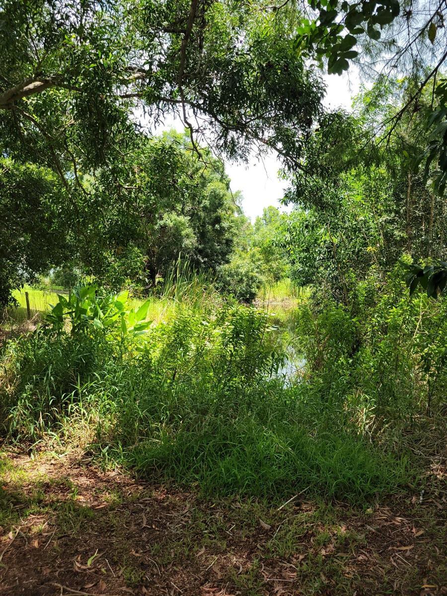 17128 30th Lane N, Loxahatchee FL 33470 photo 4