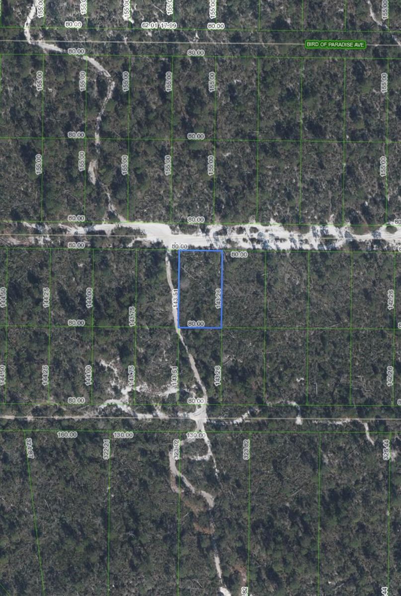 2221 Iris Avenue, Sebring FL 33875 photo 2