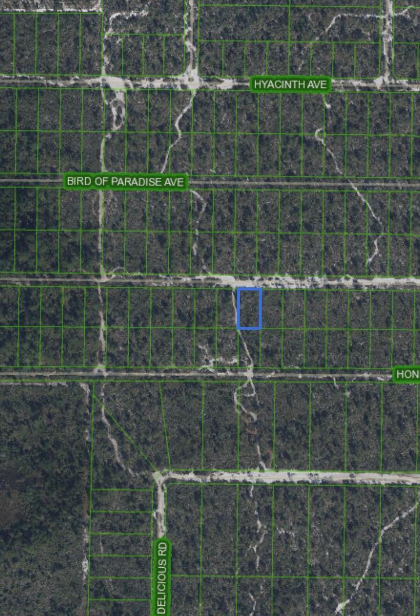 2221 Iris Avenue, Sebring FL 33875 photo 3
